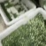 荠菜加工厂家直发碎菜块菜盒菜品质保证