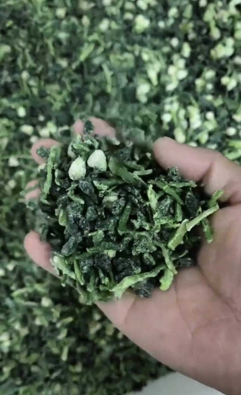 荠菜加工厂家直发碎菜块菜盒菜品质保证