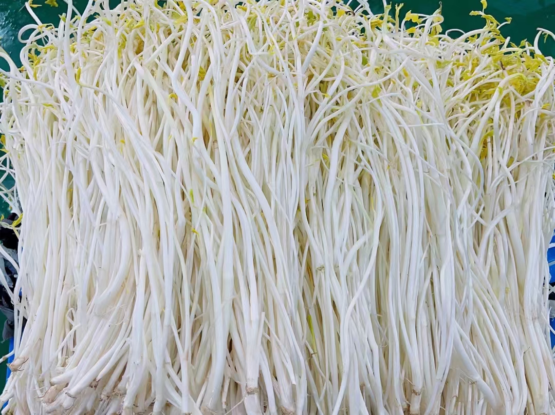 芹菜根红枣水成品图