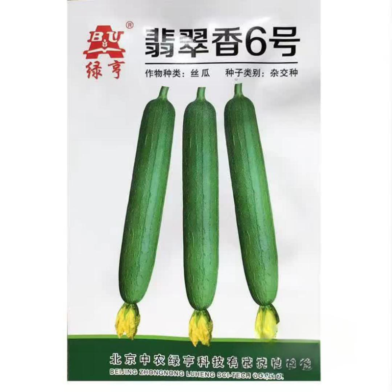 绿亨翡翠香6号丝瓜种子春秋播中早熟油亮顺直香丝瓜种子翠