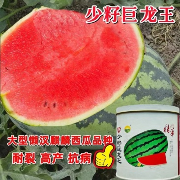 少籽巨龙王西瓜种子花皮大型西瓜籽西瓜露天大棚水果蔬菜种子
