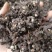 2024年新鲜拐枣干霜后拐枣干净无杂质支持一件代发批发