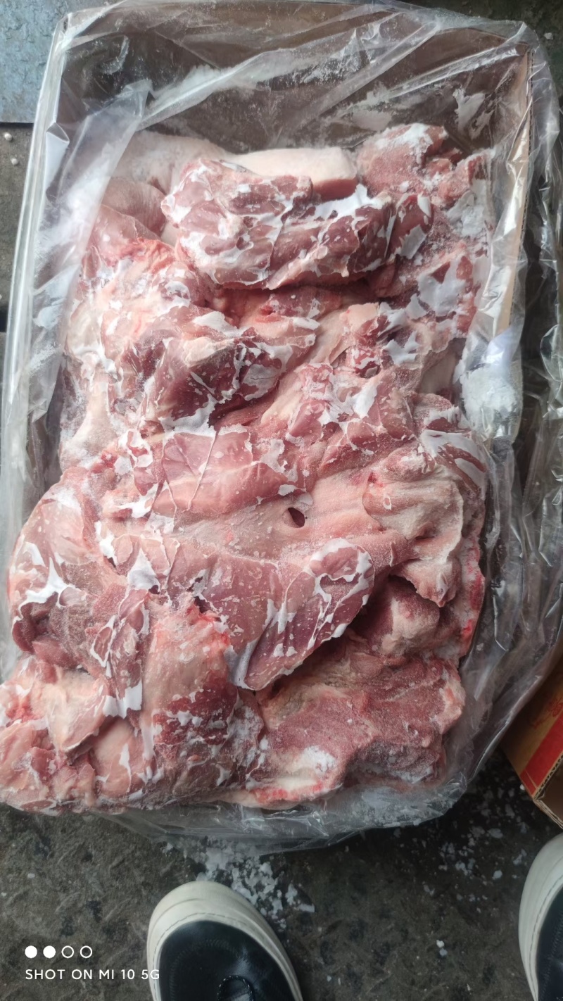 鲜品国产肥猪去皮前腿肉膘二灌肠肉馅鲜品冻品新货