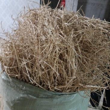 干货茅根
