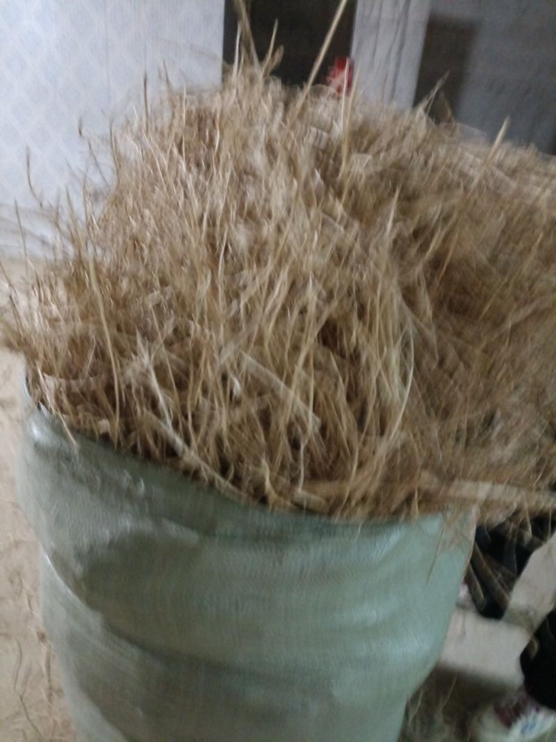 干货茅根