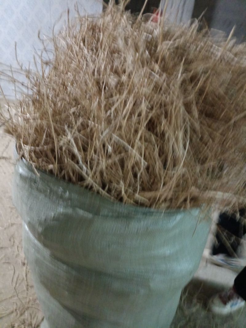 干货茅根