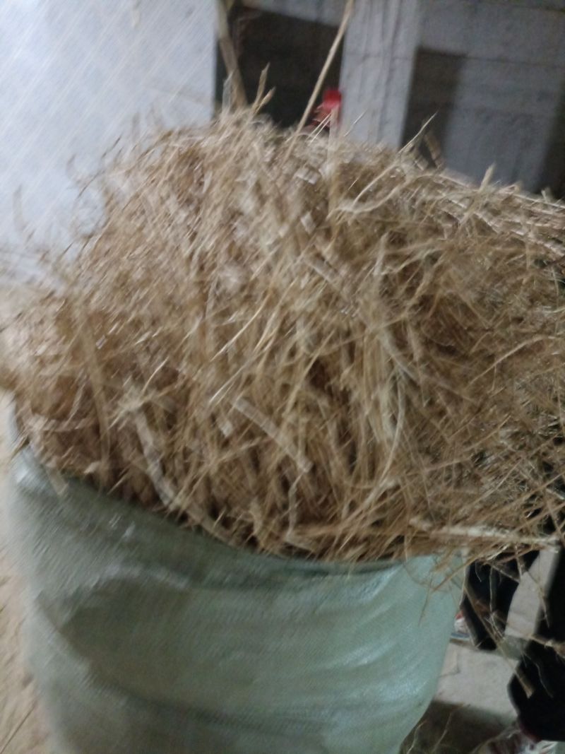 干货茅根