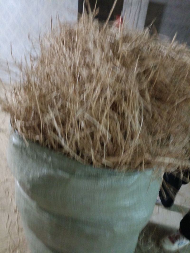 干货茅根
