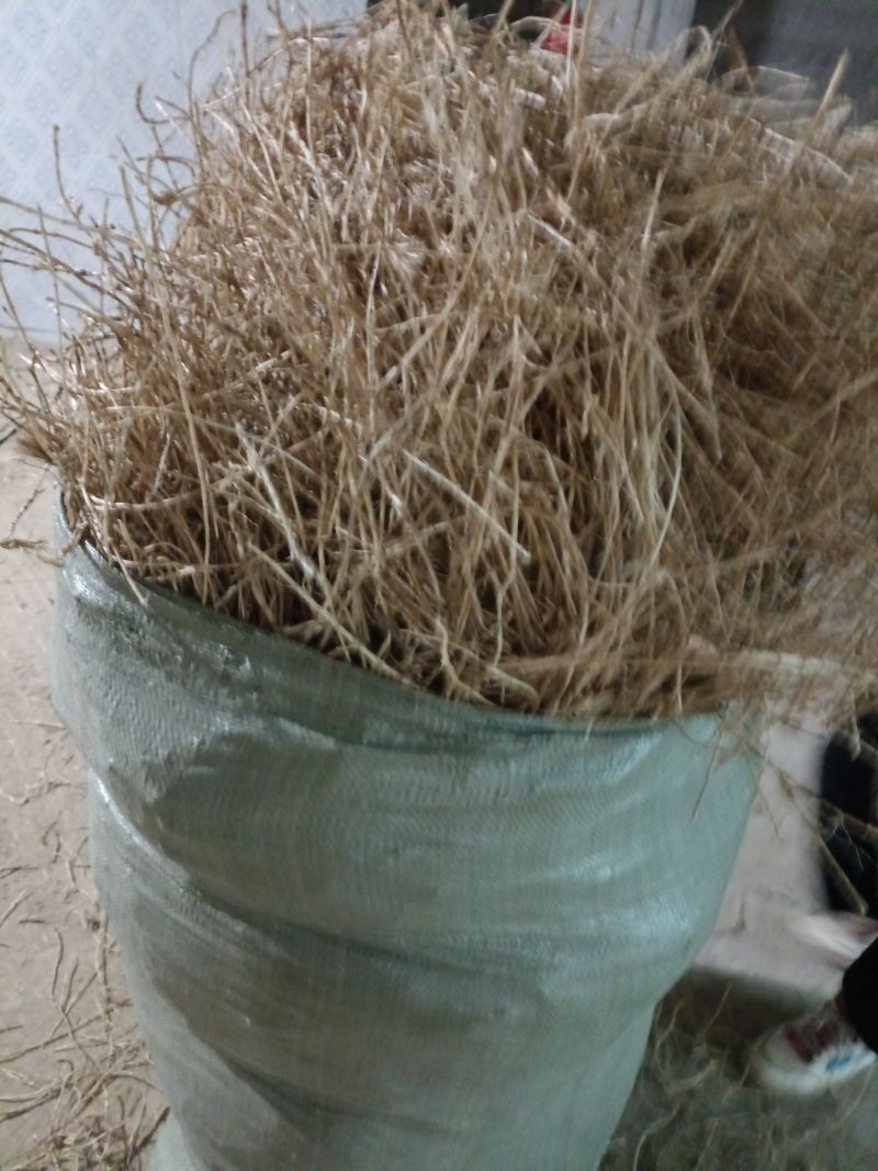 干货茅根