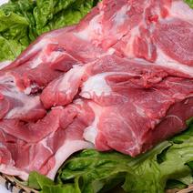 国产肥猪去皮前腿肉膘二灌肠肉馅鲜品冻品新货
