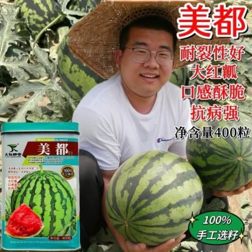 美都西瓜种子早熟抗病新品种抗裂美都西瓜种子口感酥脆罐装4