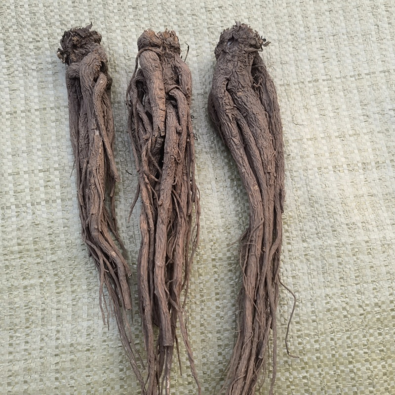 当归无硫当归大个子新货关书药业批发中药材