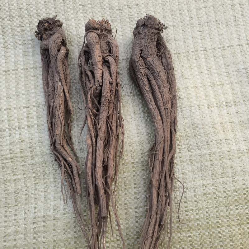 当归无硫当归大个子新货关书药业批发中药材