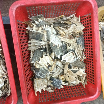 甲鱼壳