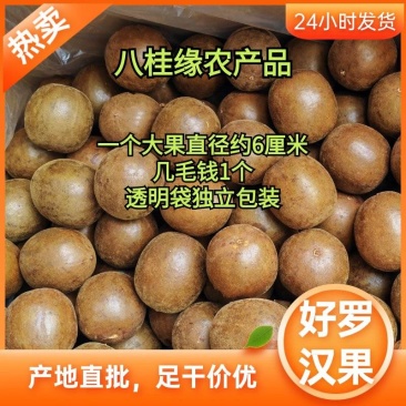 广西特产罗汉果中药材大果2个起批量大更优惠薄利多销