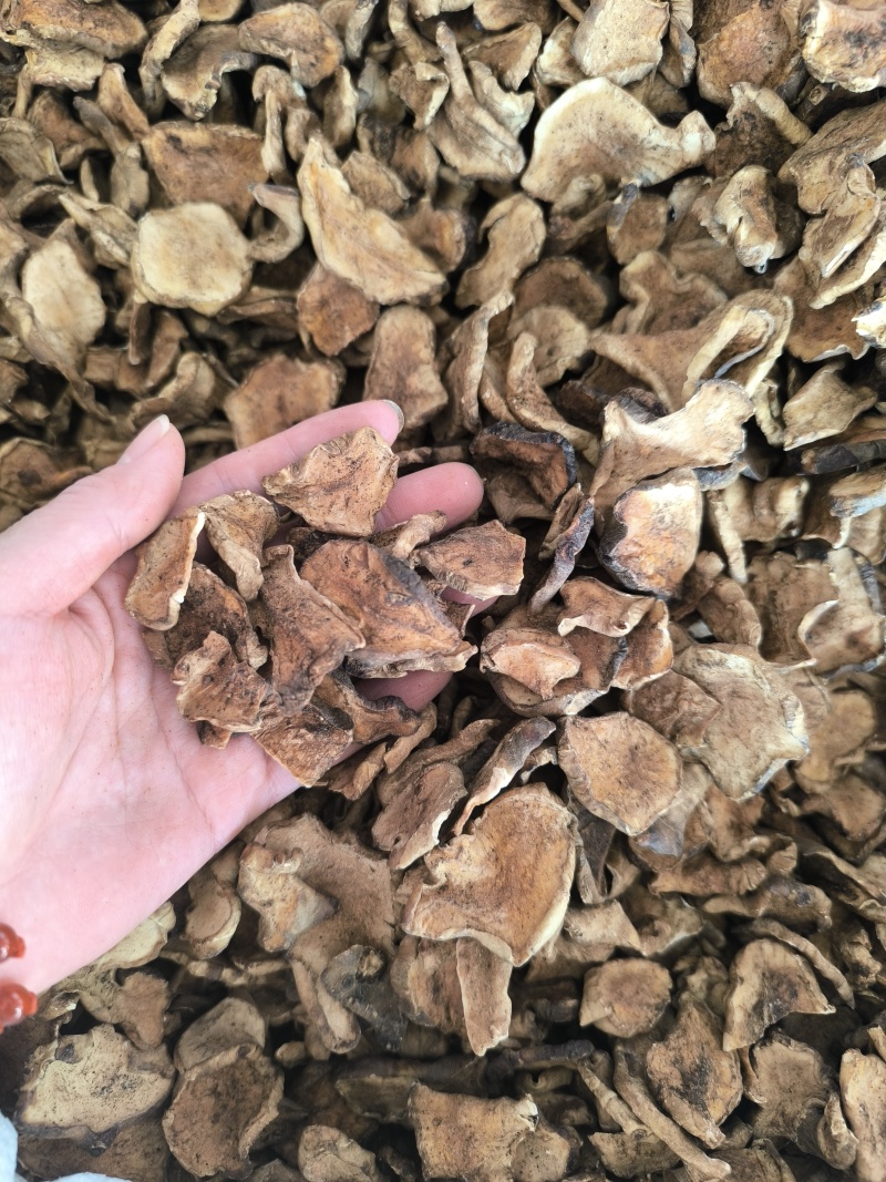 胰岛果中药材炒胰岛果规划齐全闪电发货