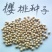 散装樱桃种子山樱桃种子果树种子毛樱桃种子车厘子种子大樱桃
