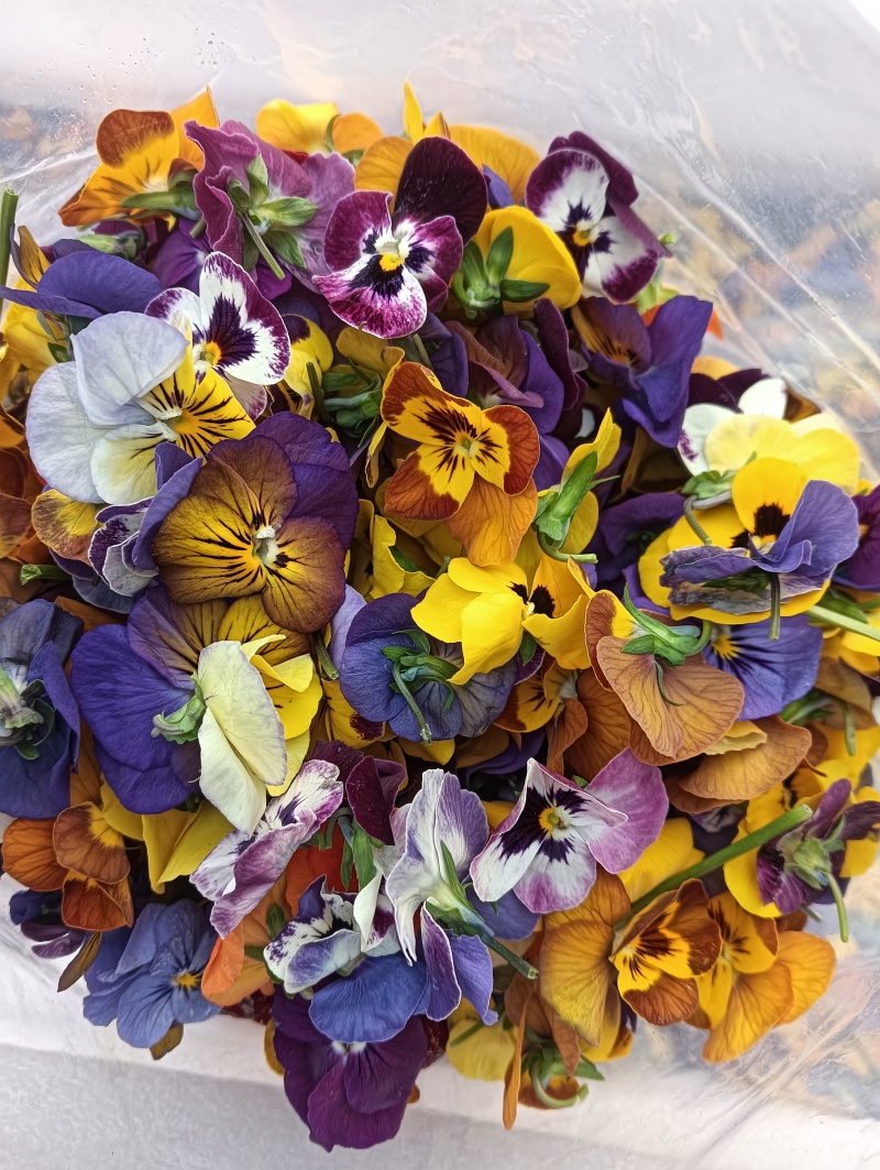 【牛商推荐】三色堇食用花三色花常年有货量大质优长期合作