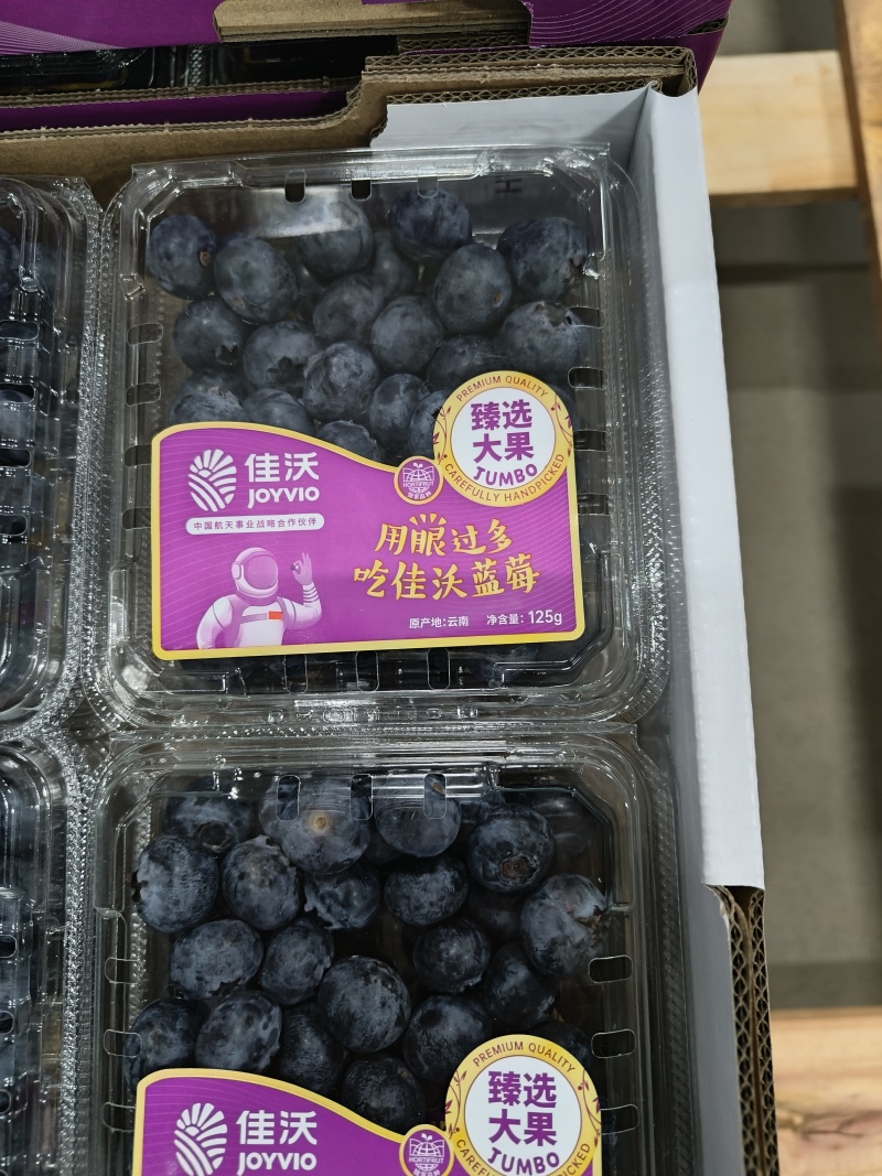 云南蓝莓