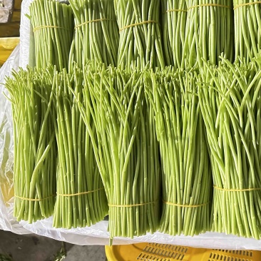 精品芦蒿大量供应