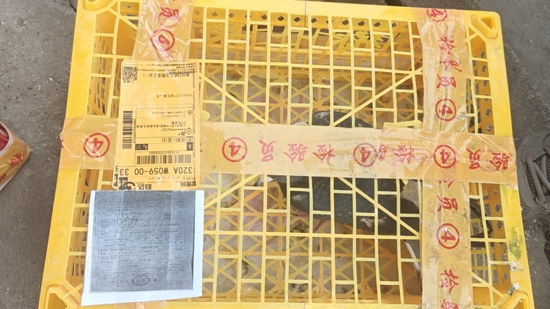 一件六只起发，包邮到家