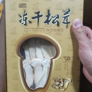 精品冻干、冷冻野生松茸20吨库存（承接电商发货）