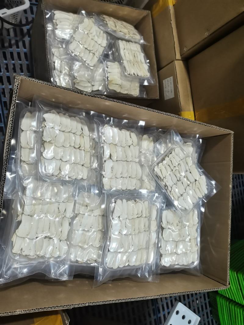 精品冻干、冷冻野生松茸20吨库存（承接电商发货）