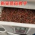 耐寒蔷薇种子日本无刺蔷薇嫁接玫瑰藤本大花月季红刺玫黄刺玫