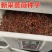 耐寒蔷薇种子日本无刺蔷薇嫁接玫瑰藤本大花月季红刺玫黄刺玫