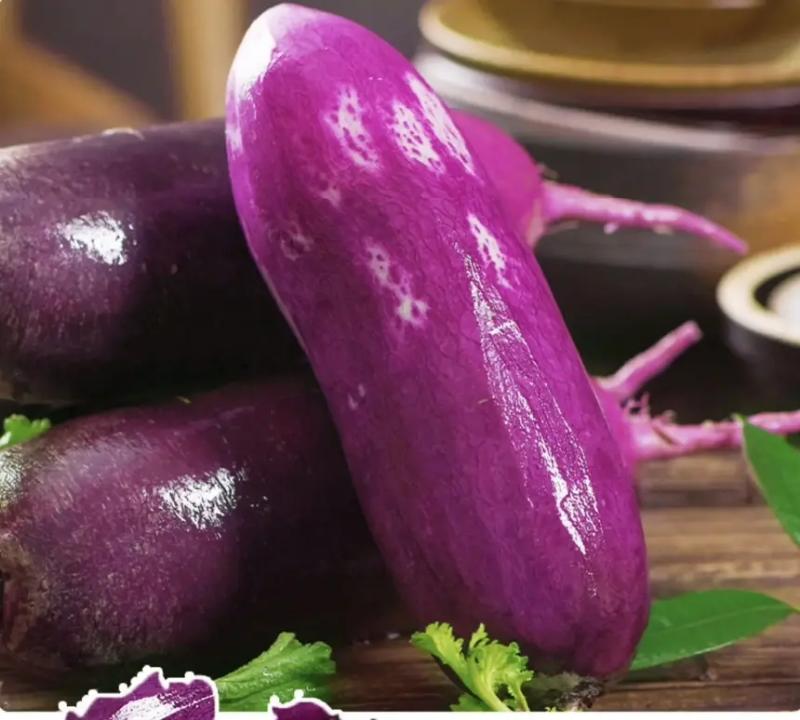 紫美人萝卜冰淇淋萝卜潍坊水果萝卜支持视频看货代发全国