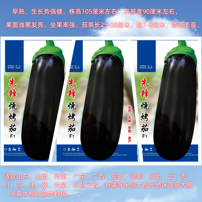 先锋烧烤茄种子绿萼茄子适合大棚和露地栽培早熟光亮