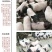 绿色养殖巴马香猪