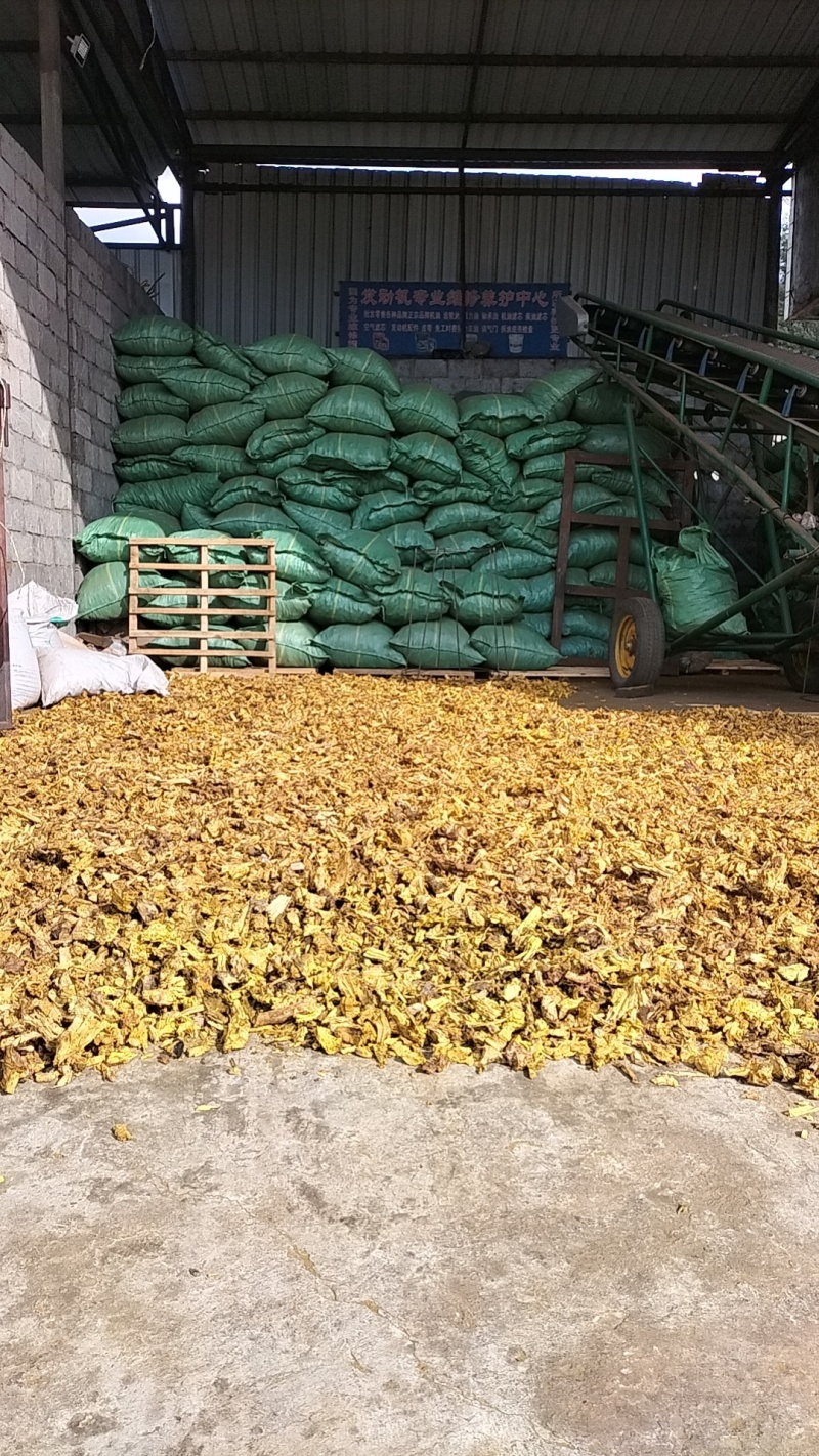（热销）野生三颗针纯根干货全国发货诚信经营货源充足