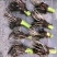 3万亩荔浦芋头基地大量供应荔浦芋头种子