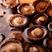 香菇干货农家特产蘑菇肉厚无根菌菇干香菇虫草冬菇煲汤食用