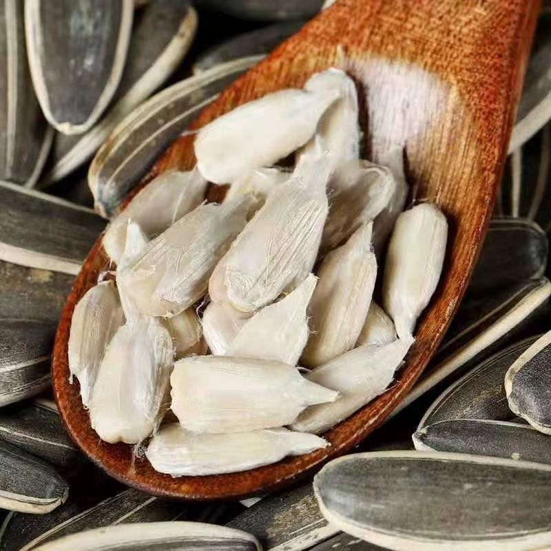 批发原味内蒙古新鲜炒熟葵花籽颗粒新货