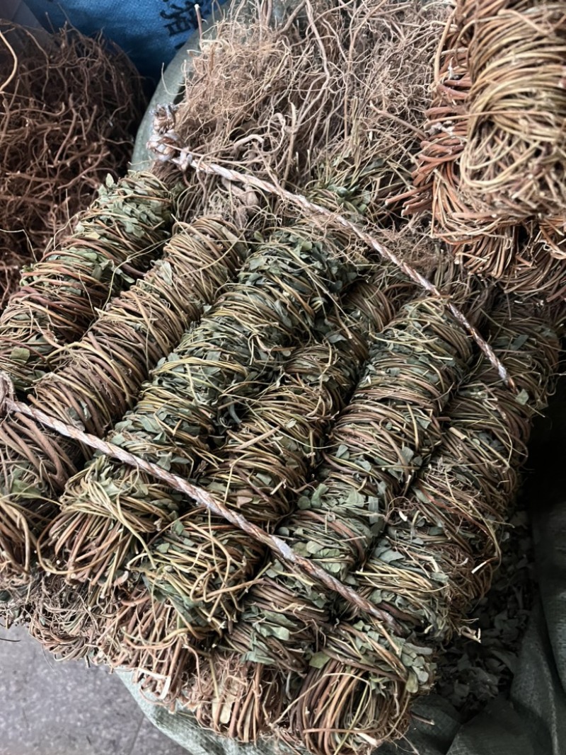 带根鸡骨草有叶无叶两种规格带根光梗
