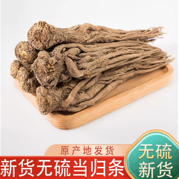 【新货推荐】当归岷县当归产地直发质量好价格优欢迎联系