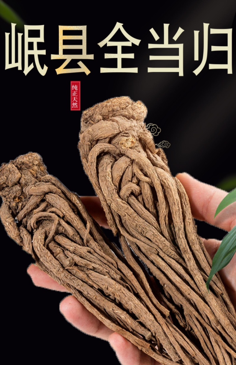 【新货推荐】当归岷县当归产地直发质量好价格优欢迎联系
