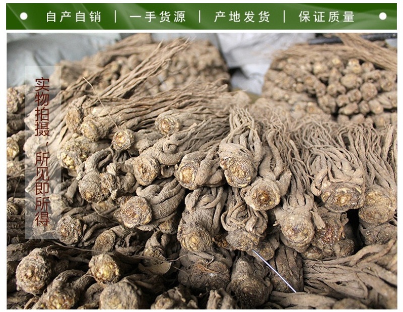 【新货推荐】当归岷县当归产地直发质量好价格优欢迎联系