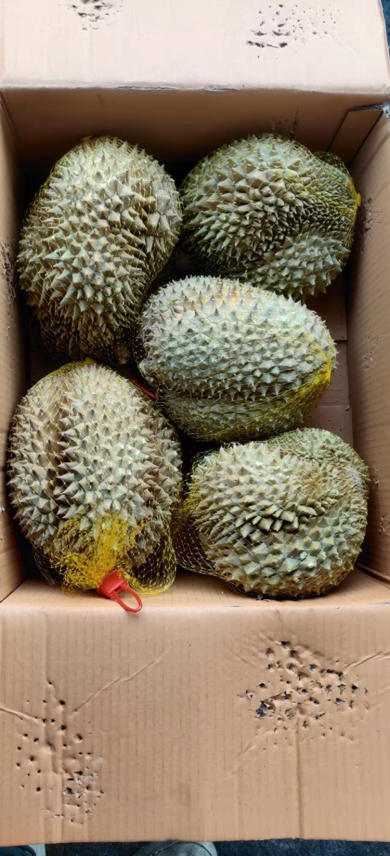 泰国进口榴莲金枕头榴莲A果4-7液氮保鲜(带壳)新鲜水果