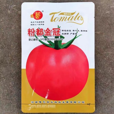 粉果番茄种子豫艺粉都金冠西红柿种子~无限生长大果雨水