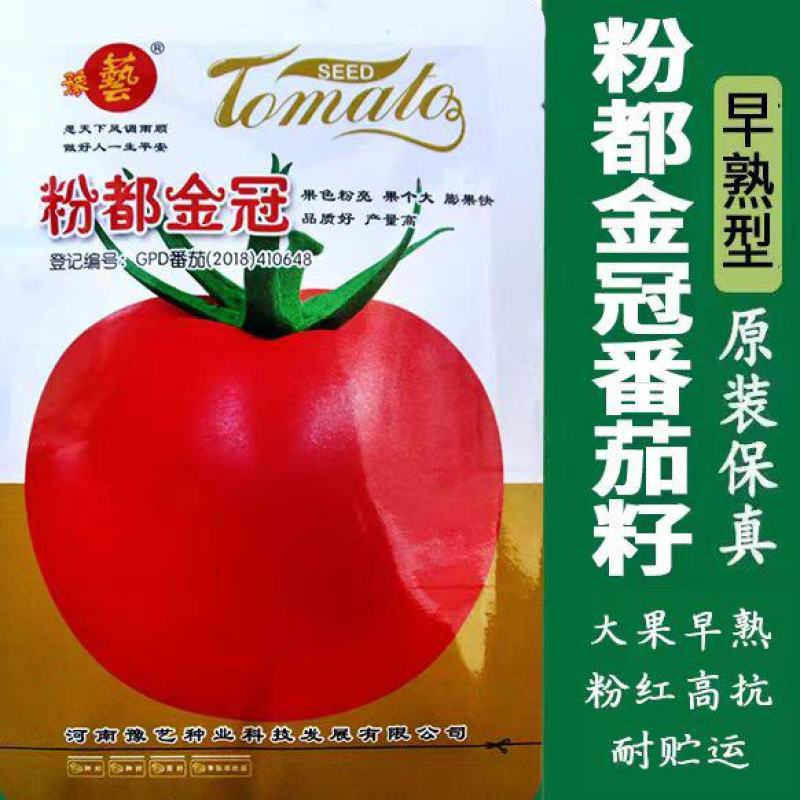 粉果番茄种子豫艺粉都金冠西红柿种子~无限生长大果雨水
