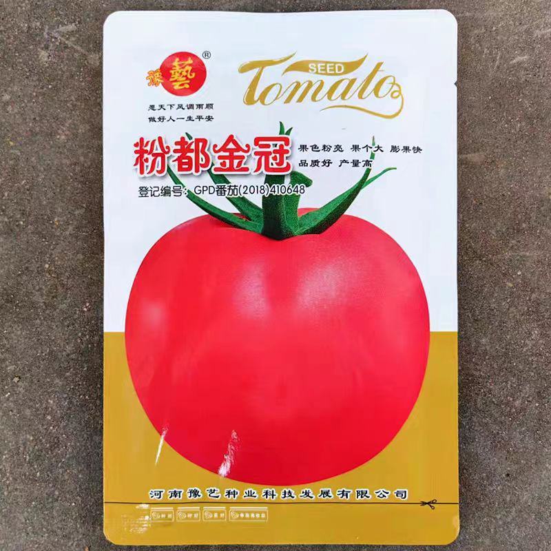 粉果番茄种子豫艺粉都金冠西红柿种子~无限生长大果雨水