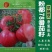 粉果番茄种子豫艺粉都金冠西红柿种子~无限生长大果雨水