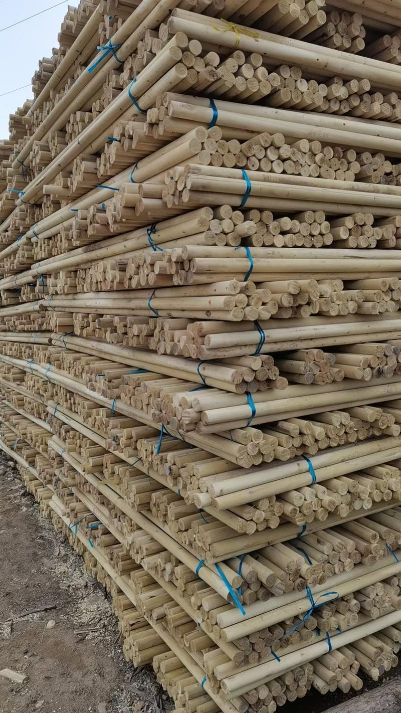 园林绿化各种规格精品杉杆支撑杆*松木杆，杨树杆