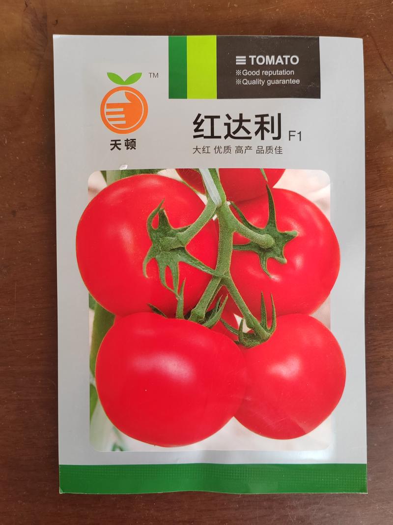 高硬度高秧大红果石头番茄种子西红柿种子颜色好