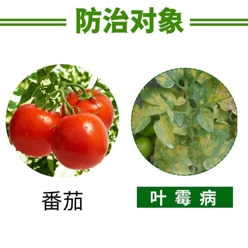 多抗霉素东生龙生10%可湿性粉剂番茄叶霉病杀菌剂农药
