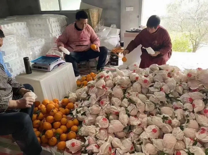 套袋耙耙柑，纯甜，物美价廉。