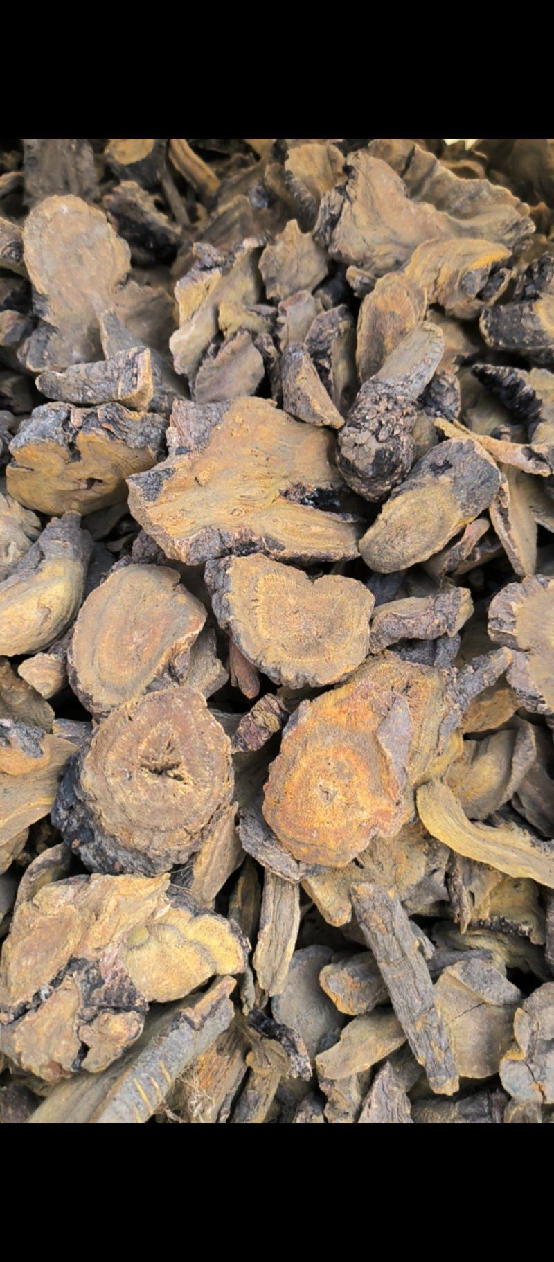 大黄可打粉药用兽用各种规格大黄质量保证量大从优